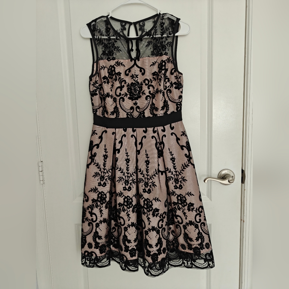 Roz & Ali Blush Pink and Black Sheer Dress Size 2 pretty evening look